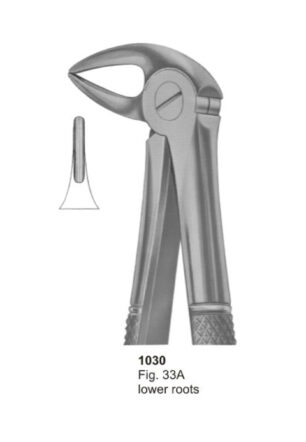 Lower Roots