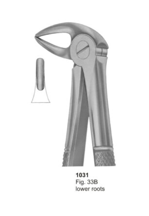 Lower Roots