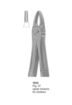 Upper Incisors for Childern
