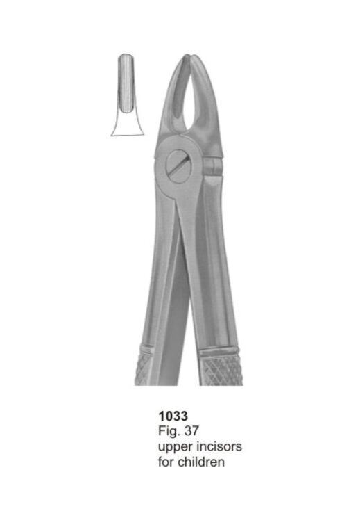 Upper Incisors for Childern