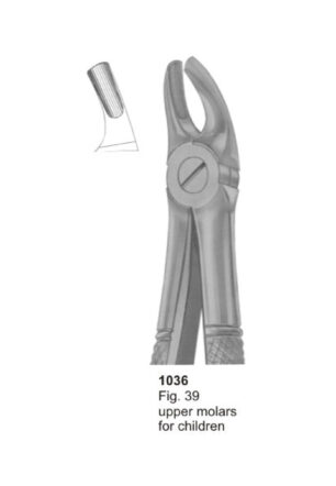 Upper Molars for Children