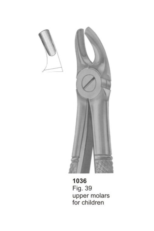 Upper Molars for Children