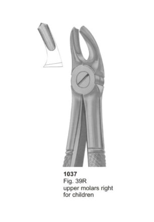 Upper Molars Right for Children