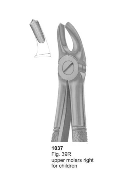 Upper Molars Right for Children