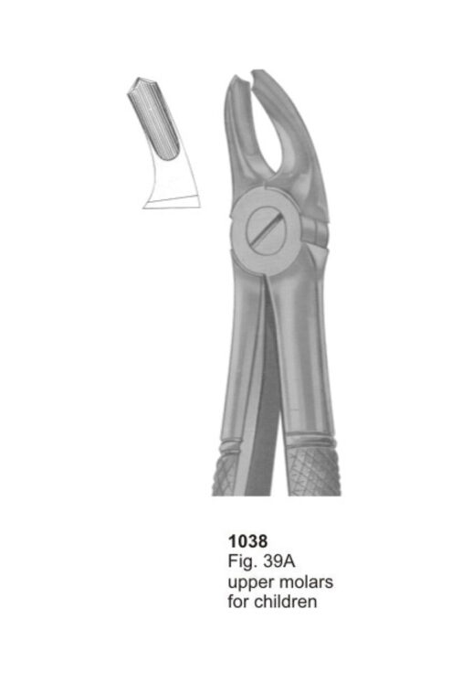 Upper Molars for Children