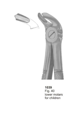 Lower Molars for Children
