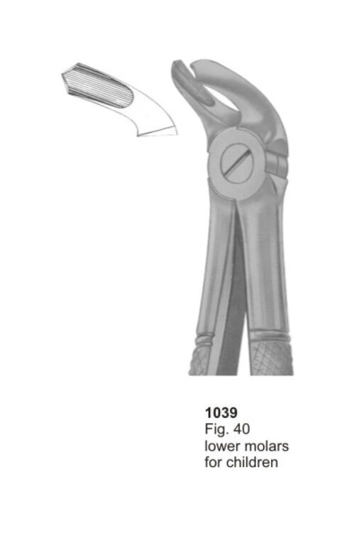 Lower Molars for Children