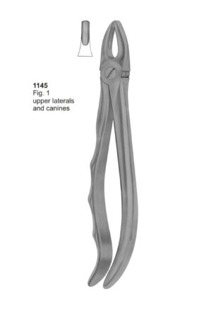 Upper Laterals and Canines