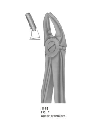 Upper Premolars