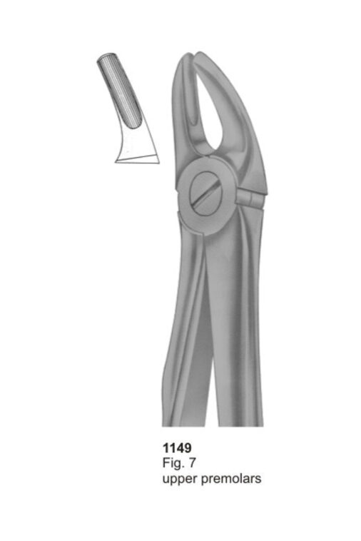 Upper Premolars