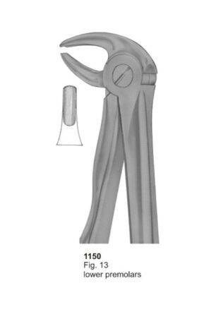 Lower Premolars