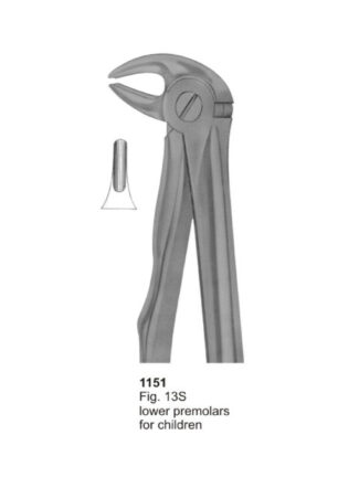 Lower Premolars For Childern