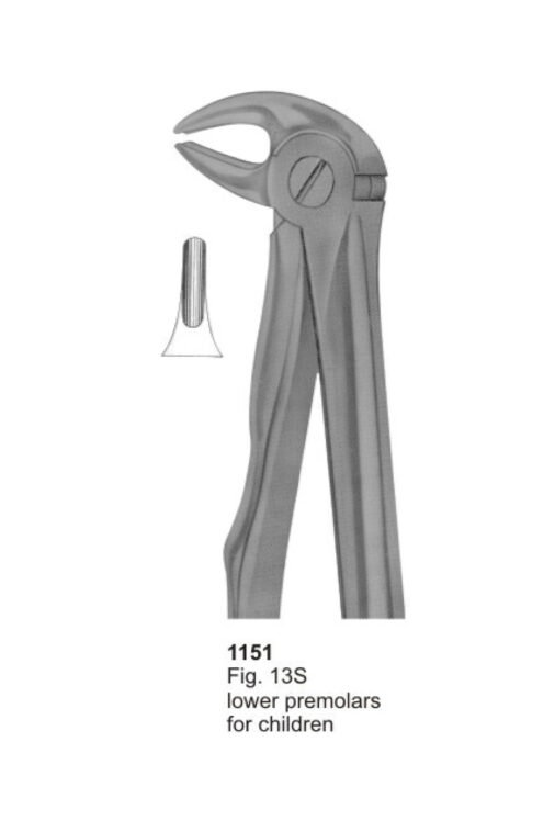 Lower Premolars For Childern