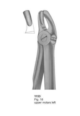 Upper Molars Left