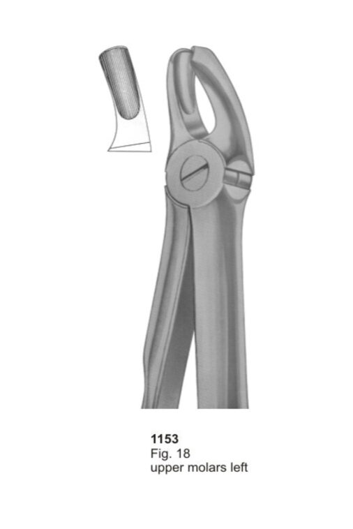 Upper Molars Left