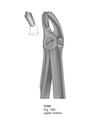 Upper Molars