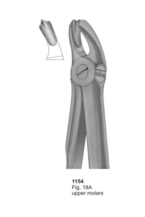 Upper Molars