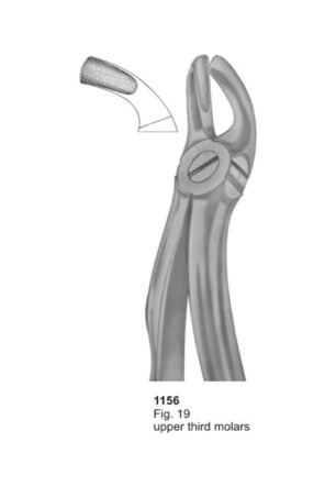 Upper Third Molars