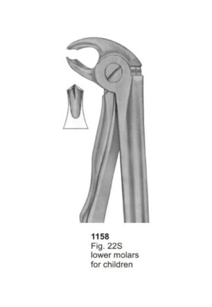 Lower molars For Childern
