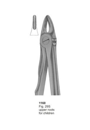 Upper Molars for Children