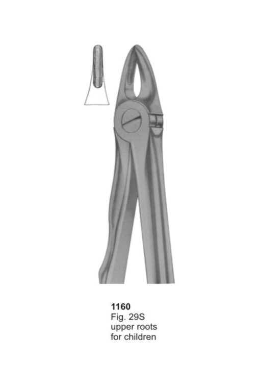 Upper Molars for Children