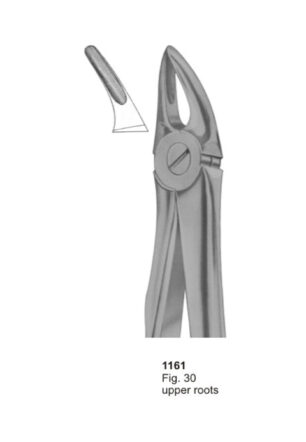 Upper Roots