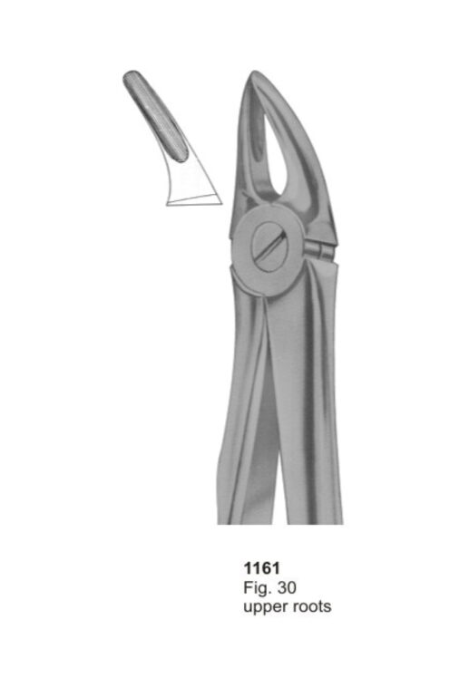 Upper Roots