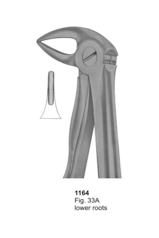 Lower Roots