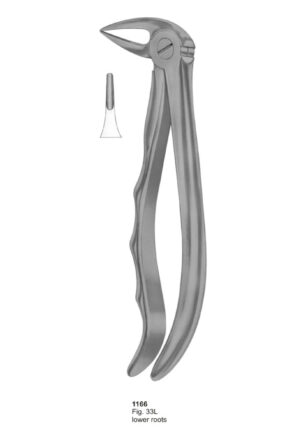 Lower Roots