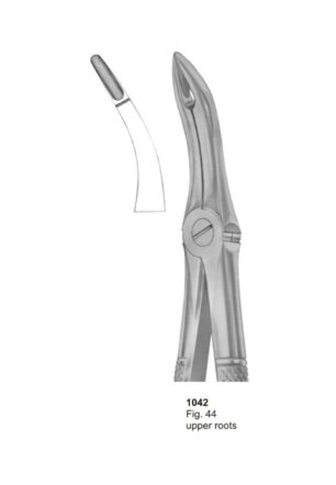 Upper Roots