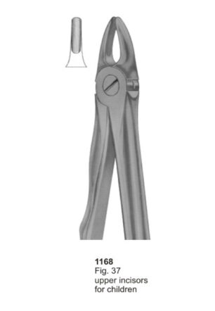 Upper Incisors for Childern