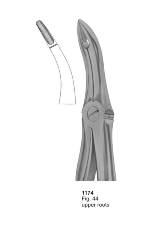 Upper Roots