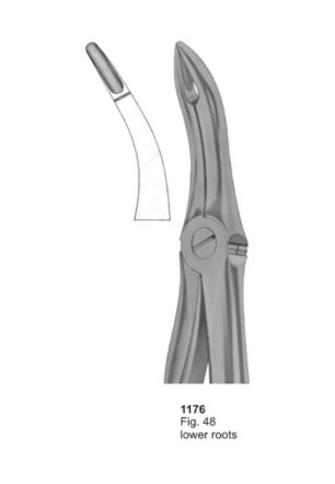 Lower Roots
