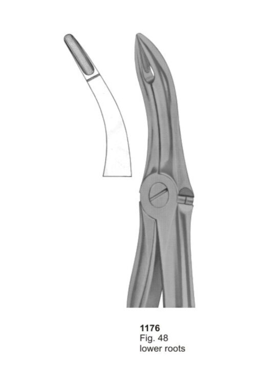 Lower Roots