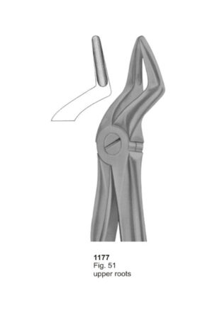 Upper Roots