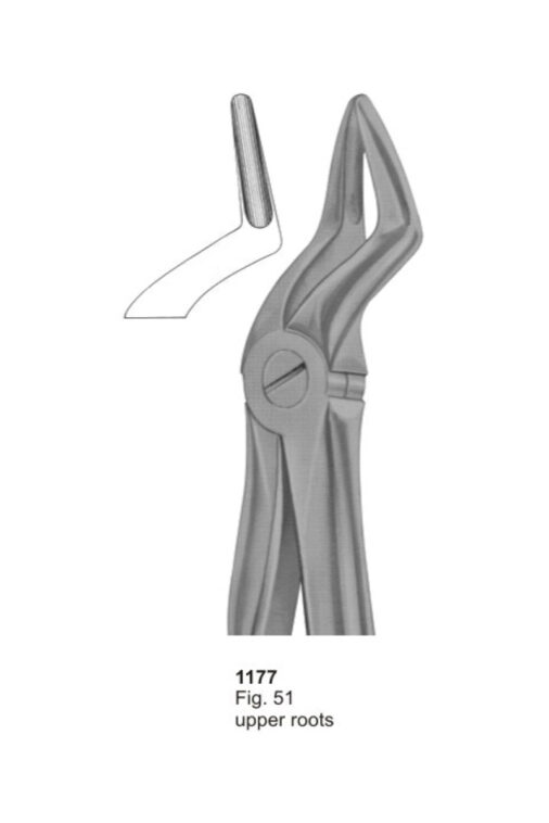 Upper Roots