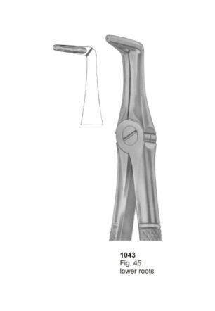 Lower Roots