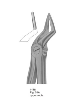 Upper Roots