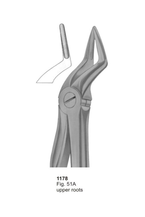 Upper Roots