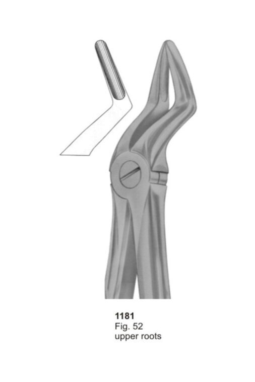 Upper Roots