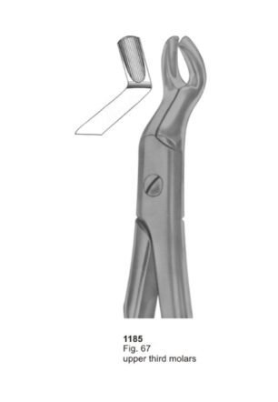 Upper Third Molars