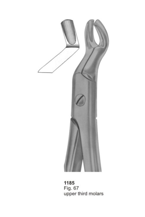 Upper Third Molars
