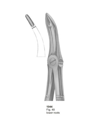 Lower Roots