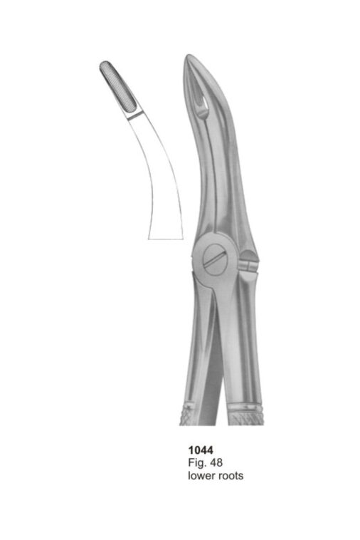 Lower Roots