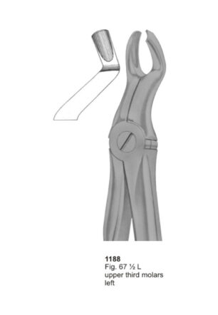 Upper Third Molars Left
