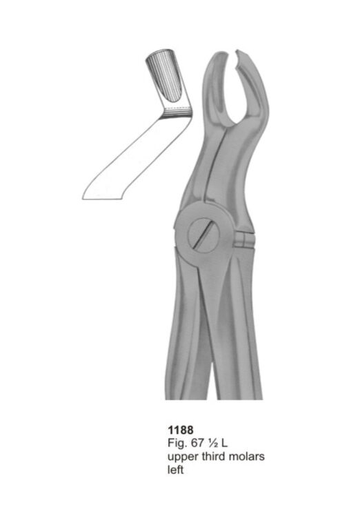 Upper Third Molars Left