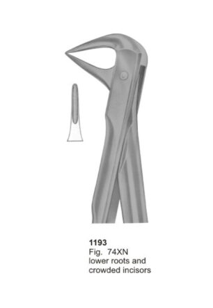 Lower Roots and Crowded Incisors