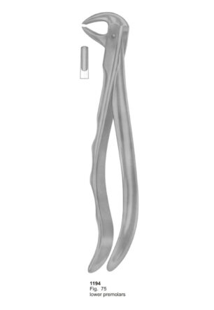 Lower Premolars