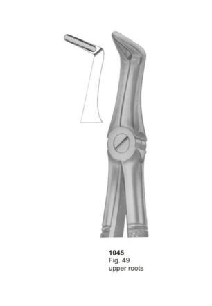 Upper Roots
