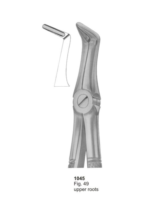 Upper Roots